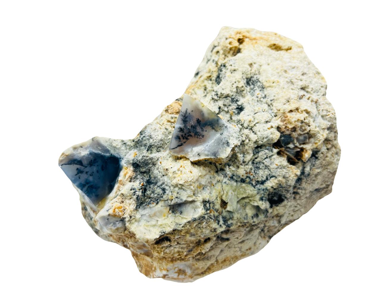 العقيق الشجري السرخسي