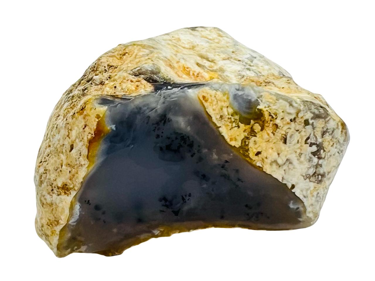 العقيق الشجري السرخسي